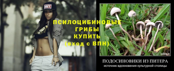 jwh Краснослободск